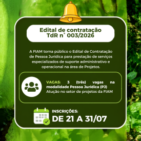 Confira as atualizações